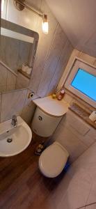 House under the Green Roof