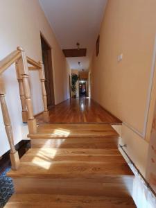 Cabana Muntele Paltinei