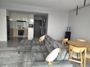 Cozy 2 Bedroom Apartment-Airport Pick Up Available