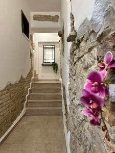 Amena House Apartments - Costa dei Trabocchi