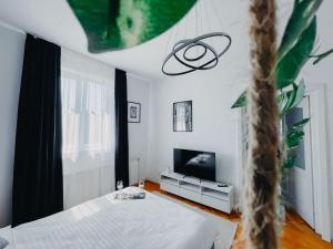 Relax & Work in Cluj Cozy Flat w Netflix & Wi-Fi