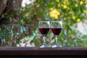 Knysna - Meerkat Manor