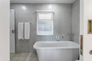 Knysna - Meerkat Manor