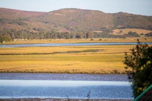 Knysna - Meerkat Manor