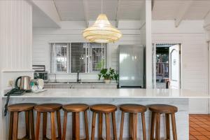 Knysna - Meerkat Manor