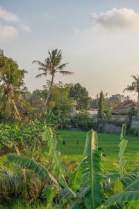 Casa Lumina - Serene Escape 2 Bedrooms Villa in Babakan