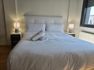 Ático de Lujo en el Centro de Burgos