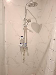 Wave & Wellness Studio