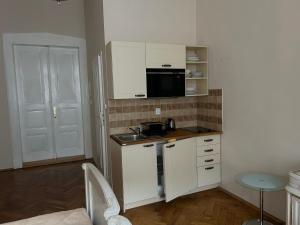 City center 1kk apartment