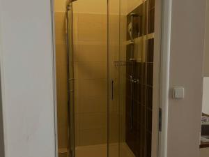 City center 1kk apartment