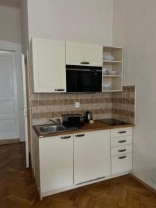City center 1kk apartment