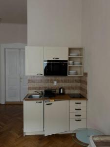 City center 1kk apartment