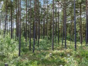 Holiday Home Anarosa - 200m from the sea by Interhome