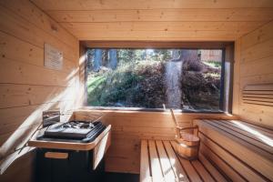 Hollmann am Berg Ski-in Ski-out