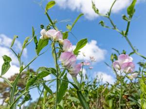 Holiday Home Detlef - 200m from the sea by Interhome