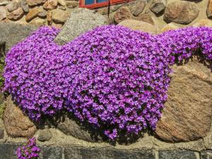 Holiday Home Detlef - 200m from the sea by Interhome