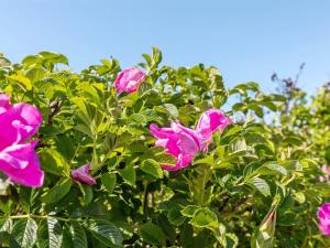 Holiday Home Lahja - 400m from the sea by Interhome