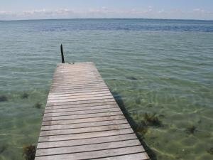 Holiday Home Kalv - 75m from the sea by Interhome