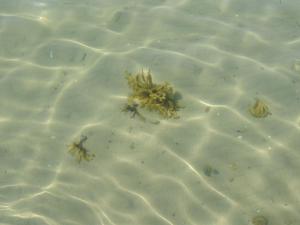 Holiday Home Kalv - 75m from the sea by Interhome