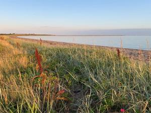 Holiday Home Mayla - 50m from the sea by Interhome