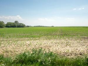 Holiday Home Ilja - 400m from the sea by Interhome