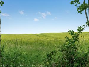 Holiday Home Thorwer - 250m from the sea by Interhome