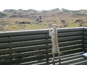 Holiday Home Lilja - 1-5km from the sea by Interhome