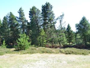 Holiday Home Tirsa - 3-9km from the sea by Interhome