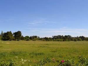 Holiday Home Naili - 3-1km from the sea by Interhome