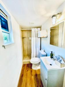 10 Beds, 2 Homes, Hot - Tub Near Downtown!