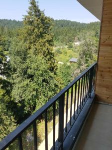Apartament in Bakuriani
