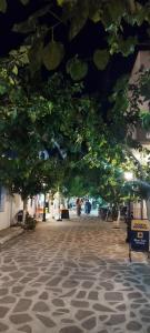 Nektaria on the Beach