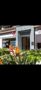 Le Grand Bourgeois à Nice