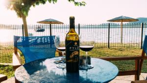 Bluevera sandy beachfront villa-Aidipsos bay