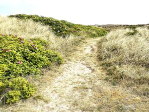 Holiday Home Carelle - 300m from the sea by Interhome