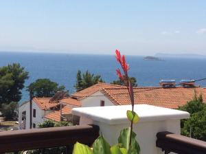 Ocean View Skopelos Greece