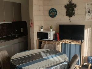 Studio chaleureux, balcon sud, 4 pers., proche centre et pistes - Les Carroz - FR-1-572-218