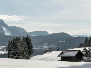 Appartement 2 pièces 4 pers terrasse parking Les Carroz dArâches - FR-1-572-293