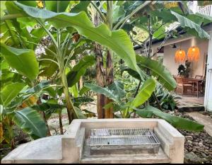 Binh An Villa - Central, Sea, Mountain View, Beach, Shops and Dinings