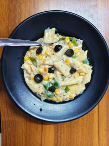 Hotel Narayan Vilas , Jaipur