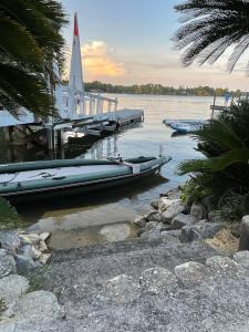 Palms in Paradise 2 Docks & StepsLake Murray