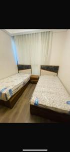 zed west Sheikh Zayed