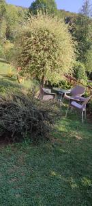 Apartmani Mali Raj Rudnik