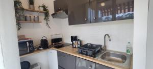 Nice cocoon near the beach in Arcachon