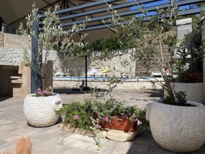 Grey Gold apartment 80m from the beach