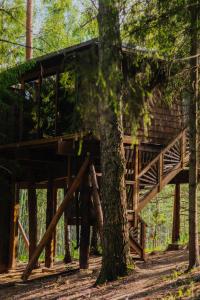 Lootvina Houses - Linnast välja, puu otsa!