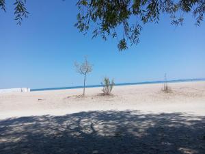 Budget 2BR Apartment near Beach & City Center