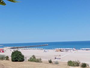 Budget 2BR Apartment near Beach & City Center