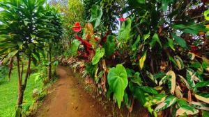 Ecoturismo Las Cascadas