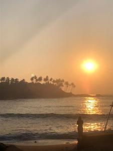 Surf Skate house seenimodara